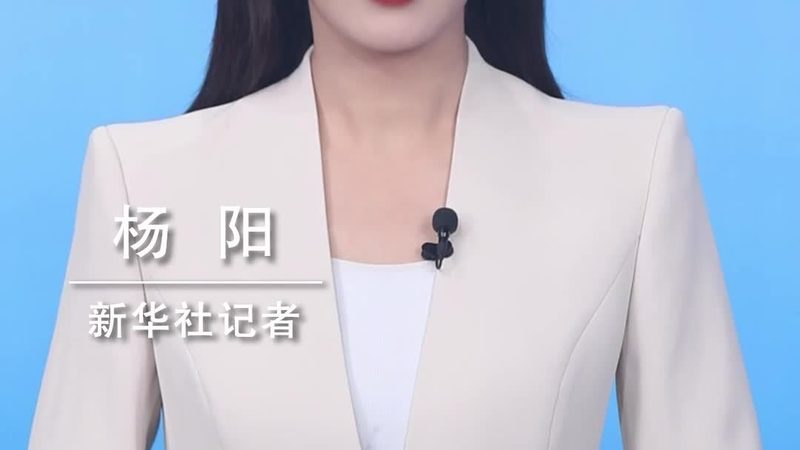 国产BI数据安全品牌推荐